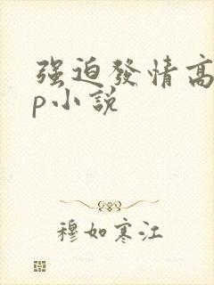 强迫发情高hnp小说