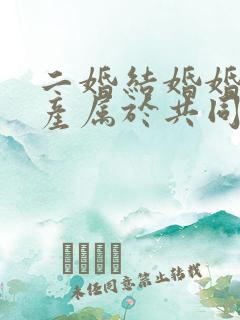 二婚结婚婚前财产属于共同财产吗