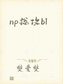np总攻bl