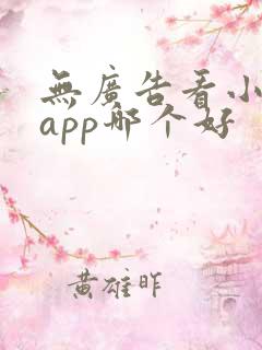 无广告看小说的app哪个好