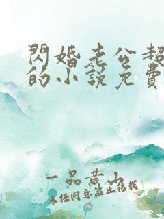 闪婚老公超有钱的小说免费阅读全文