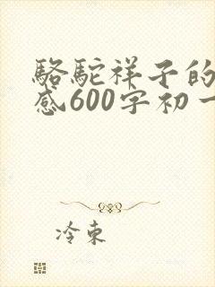 骆驼祥子的读后感600字初一