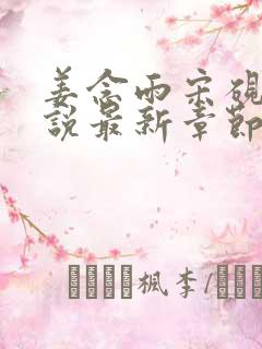 姜念雨宋砚驰小说最新章节免费阅读