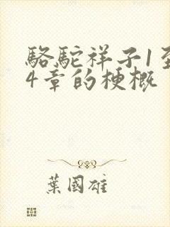 骆驼祥子1至24章的梗概