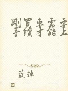 刚买车需要什么手续才能上路