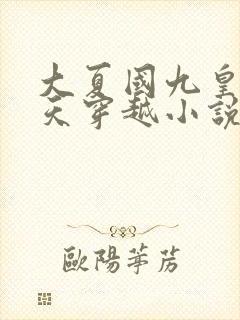 大夏国九皇子夏天穿越小说