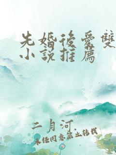 先婚后爱双男主小说推荐