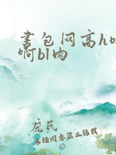 书包网高h嗯…啊bl肉