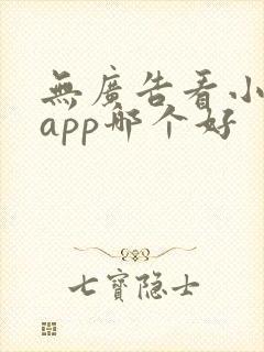 无广告看小说的app哪个好