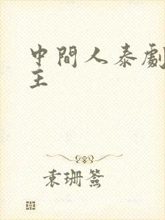 中间人泰剧双男主