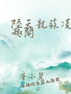 陆天龙苏凌月笔趣阁