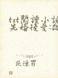 txt阅读小说先婚后爱:总裁老公狂宠妻