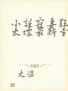 小说宠妻狂魔别太坏最新章节