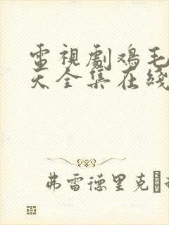 电视剧鸡毛飞上天全集在线观看免费