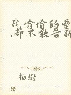 我偷偷的爱上你,却不敢告诉你是什么歌