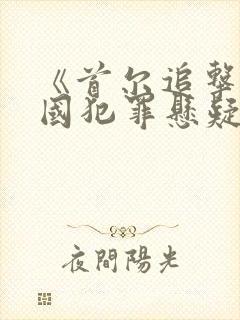 《首尔追击》韩国犯罪悬疑电影