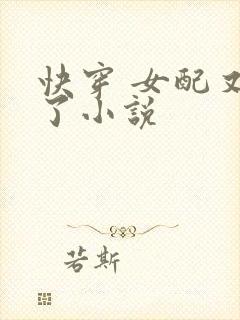 快穿 女配又跪了小说