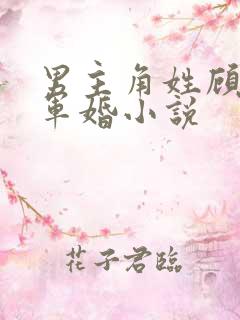 男主角姓顾全部军婚小说