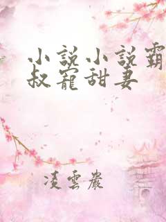 小说小说霸道大叔宠甜妻