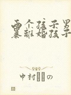 两个孩子男方家暴离婚孩子归谁