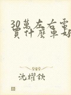 30万左右电车买什么车好