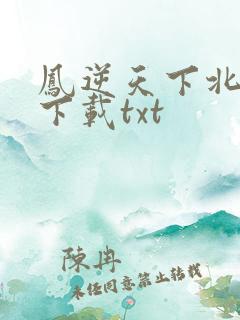 凤逆天下北月篇下载txt