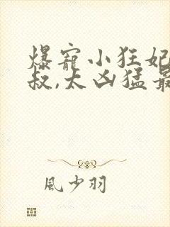 爆宠小狂妃:皇叔,太凶猛最新章节