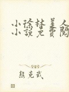 小徐林美人主角小说免费阅读全文都