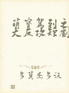 萌宝驾到之妈咪大反攻短剧结局