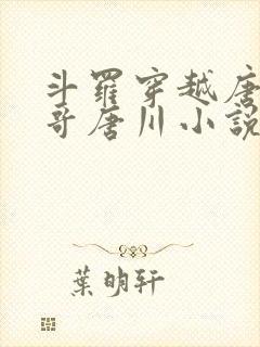 斗罗穿越唐三亲哥唐川小说