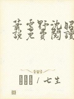 萧云野沈昭宁小说免费阅读最新章节