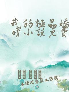 我的极品娇妻苏晴小说免费阅读