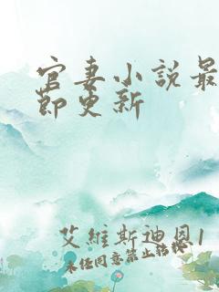 官妻小说最新章节更新