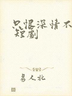 只恨深情不识鸢 短剧