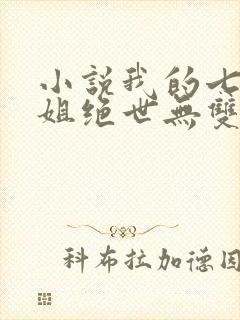 小说我的七个姐姐绝世无双