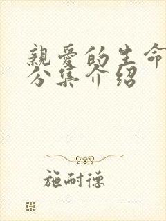 亲爱的生命剧情分集介绍