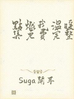 点燃我温暖你全集免费完整观看