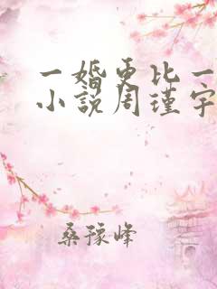 一婚更比一婚高小说周瑾宇全文免费