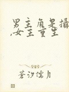 男主角是摄政王,女主重生