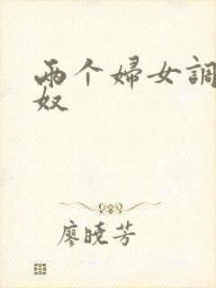 两个妇女调教男奴