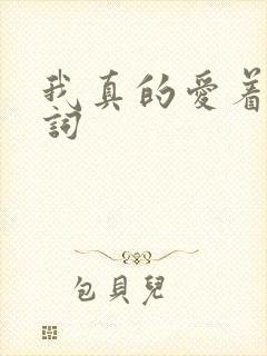 我真的爱着你歌词