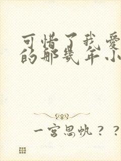 可惜了我爱着你的那几年小说免费阅读