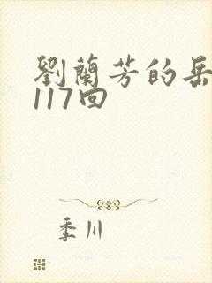 刘兰芳的岳飞传117回