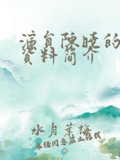 演员陈晓的个人资料简介