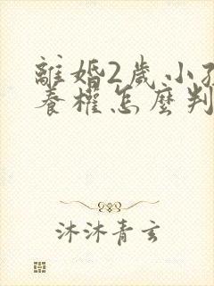 离婚2岁小孩抚养权怎么判定标准