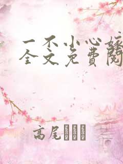 一不小心嫁总裁全文免费阅读