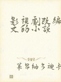 影视剧改编成爽文的小说