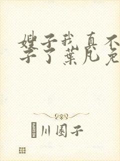 嫂子我真不是傻子了叶凡免费全本大结局