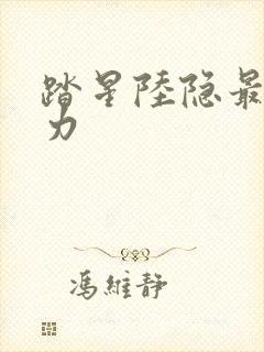 踏星陆隐最终实力