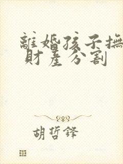 离婚孩子抚养权 财产分割